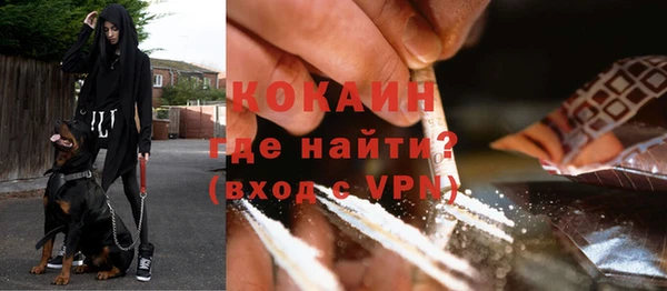 гашик Коряжма