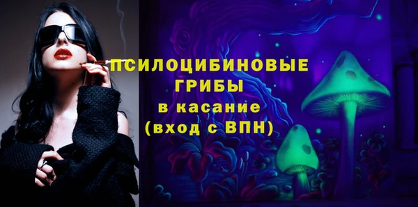молекула духа Костерёво