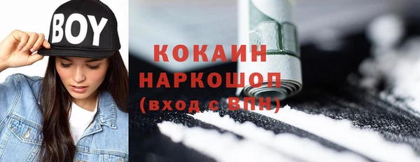 молекула духа Костерёво