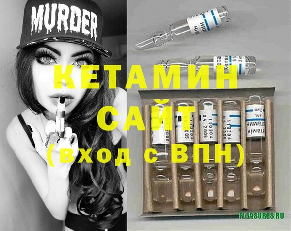 гашик Коряжма