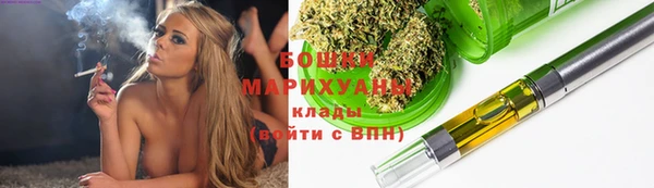молекула духа Костерёво
