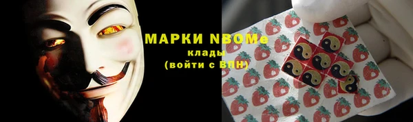 молекула духа Костерёво