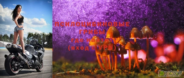 гашик Коряжма