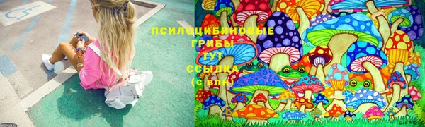 гашик Коряжма