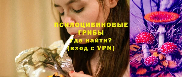 молекула духа Костерёво