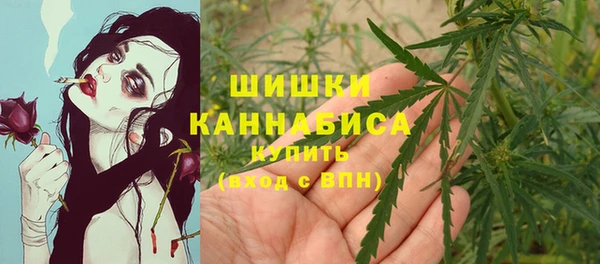 дурь Корсаков