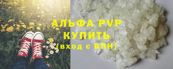 гашик Коряжма