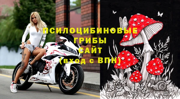 дурь Корсаков
