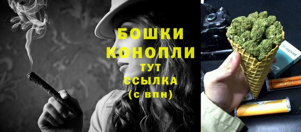 молекула духа Костерёво