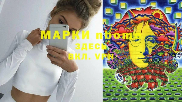 молекула духа Костерёво