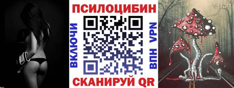 Купить где  Ершов  Галлюциногенные грибы Magic Shrooms 